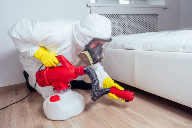 Emergency Pest Control Services in Streator, IL